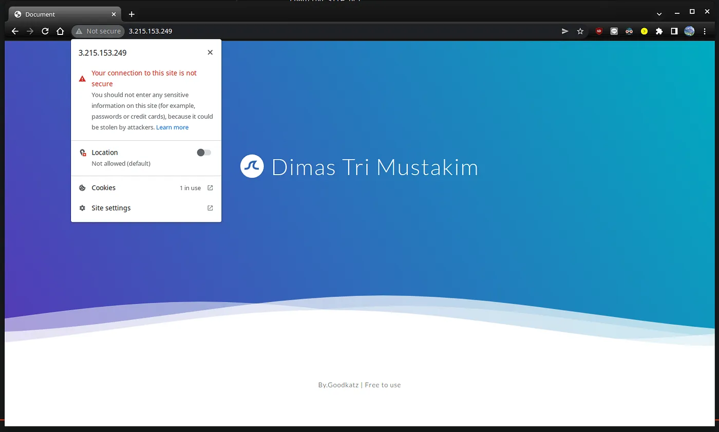Screenshot Website.